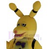 Bonnie de printemps Lapin costume de mascotte