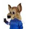Coyote Loup costume de mascotte