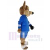 Coyote Loup costume de mascotte
