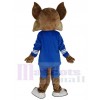 Coyote Loup costume de mascotte