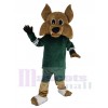 Coyote Loup costume de mascotte