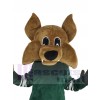 Coyote Loup costume de mascotte