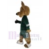 Coyote Loup costume de mascotte