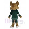 Coyote Loup costume de mascotte