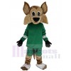 Coyote Loup costume de mascotte