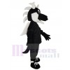 Dragon costume de mascotte