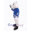 Ours costume de mascotte
