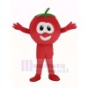 VeggieTales Personnage Tomate Bob Mascotte Costume Dessin animé