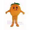 Orange Fruit Mascotte Costume
