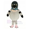 Mignonne Pigeon Oiseau Mascotte Costume Animal