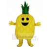 Ananas Fruit Mascotte Costume Dessin animé