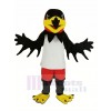 Noir Nuit faucon avec blanc Gilet Mascotte Costume