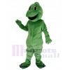 Lézard costume de mascotte