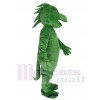 Lézard costume de mascotte