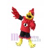 Aigle costume de mascotte