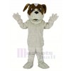 Saint Bernard Chien Mascotte Costume Dessin animé