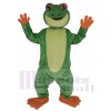 Grenouille costume de mascotte