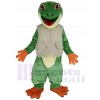 Grenouille costume de mascotte