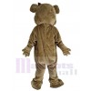 Ours costume de mascotte