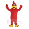 Réaliste rouge Roadrunner Oiseau Mascotte Costume Université