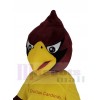 Cardinal costume de mascotte