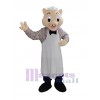 Cochon costume de mascotte