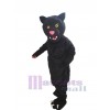 panthère costume de mascotte