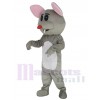 Souris costume de mascotte