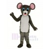 Peu gris Souris Animal Mascotte Costume Animal