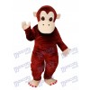 Mascotte de gorille Costume adulte Animal