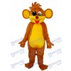 Mascotte de singe pirate Costume adulte