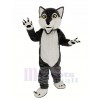 Poil long gris Loup Mascotte Costume Animal