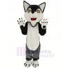 Mignonne gris Loup Mascotte Costume Animal