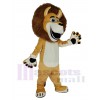 Lion maskottchen kostüm