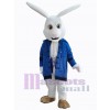 Lapin de Pâques costume de mascotte