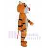 Tigre costume de mascotte