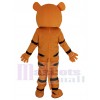 Tigre costume de mascotte