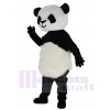 Panda costume de mascotte