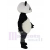 Panda costume de mascotte