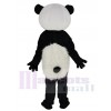 Panda costume de mascotte