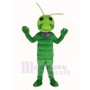 Ver vert Mascotte Costume Animal