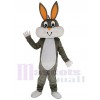 Bugs Bunny costume de mascotte