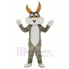 Pâques Bugs lapin Adulte Mascotte Costume Dessin animé