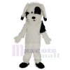 Chien costume de mascotte