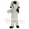 Chien costume de mascotte