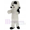 Chien costume de mascotte