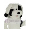 Chien costume de mascotte