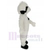 Chien costume de mascotte