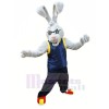 Puissance lapin Mascotte Les costumes Dessin animé