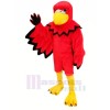 rouge Marrant Oiseau Mascotte Les costumes Dessin animé